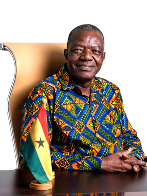 AGVO-vice-President